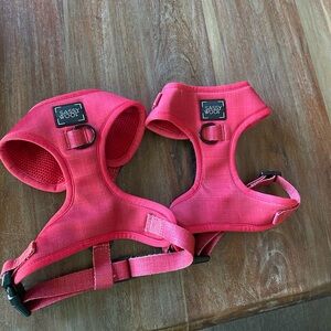 Two Sassy Woof harnesses Merlot size small